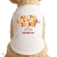 Halloween Christian Are You Fall O Ween Jesus Doggie Tank thumb 0