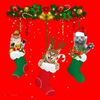 Hanging Cats Christmas Stockings Santa Hat thumb 1