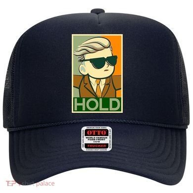 Hold Crypto Currency Cartoon Hat