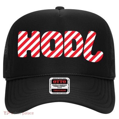 Hodl Crypto Currency Candy Cane Christmas Logo Hat