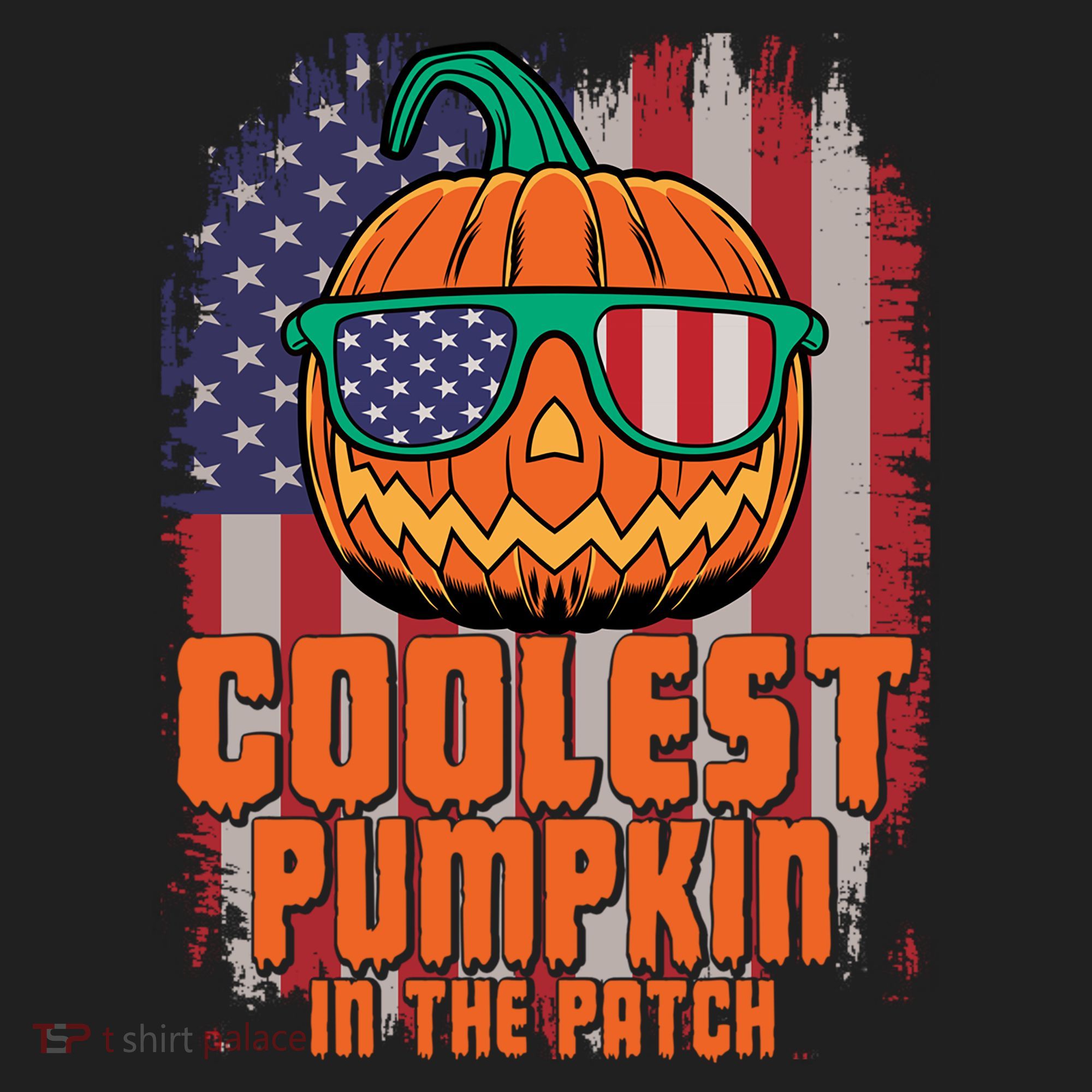 Halloween Costume Coolest Pumpkin In The Patch American Flag Gift Beanie