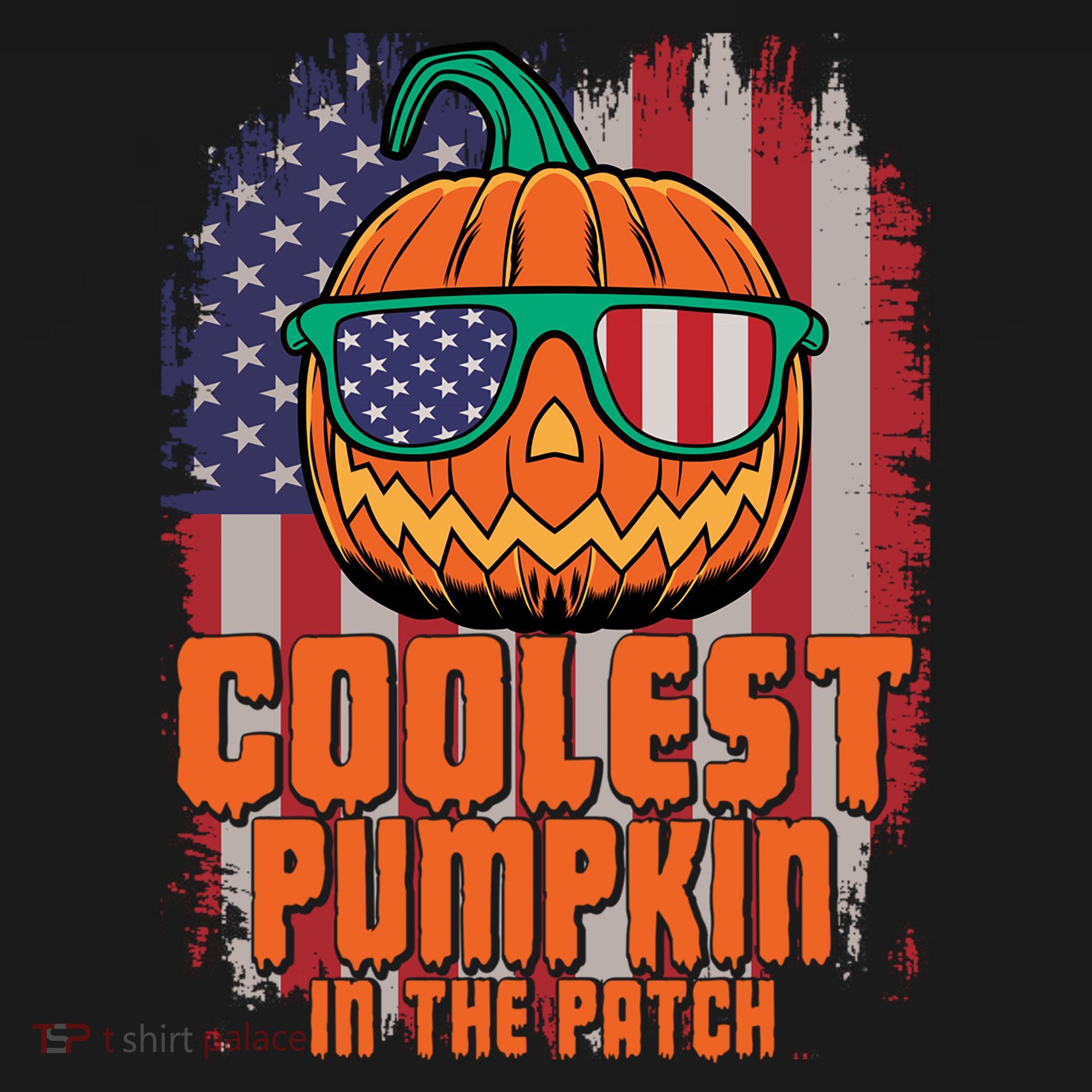 Halloween Costume Coolest Pumpkin In The Patch American Flag Gift Women's Hoodie