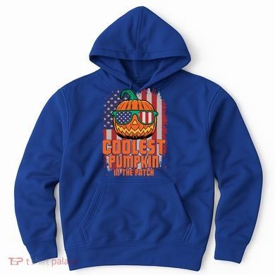 Halloween Costume Coolest Pumpkin In The Patch American Flag Gift Hoodie