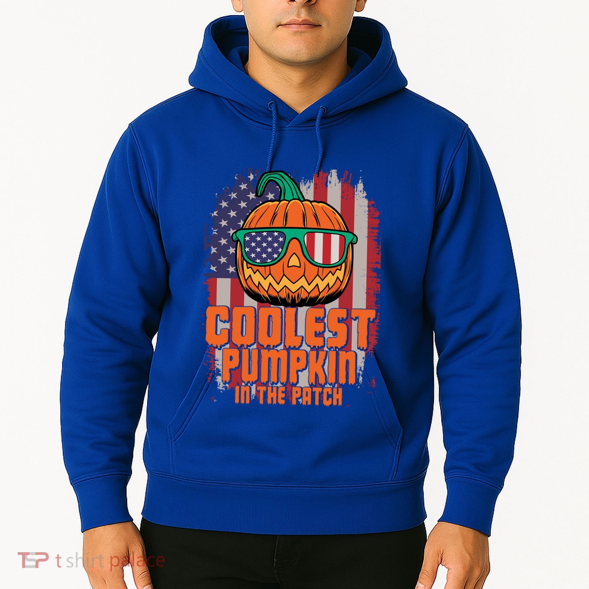 Halloween Costume Coolest Pumpkin In The Patch American Flag Gift Hoodie
