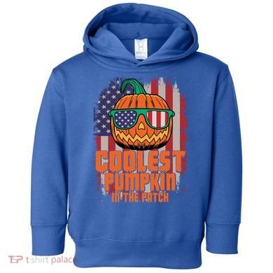Halloween Costume Coolest Pumpkin In The Patch American Flag Gift Toddler Hoodie