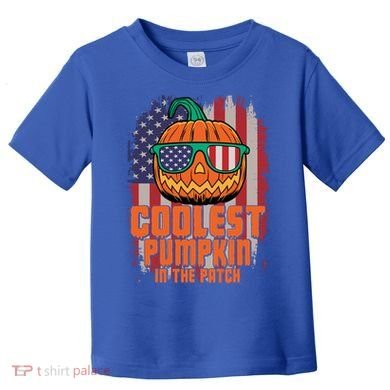 Halloween Costume Coolest Pumpkin In The Patch American Flag Gift Toddler T-Shirt