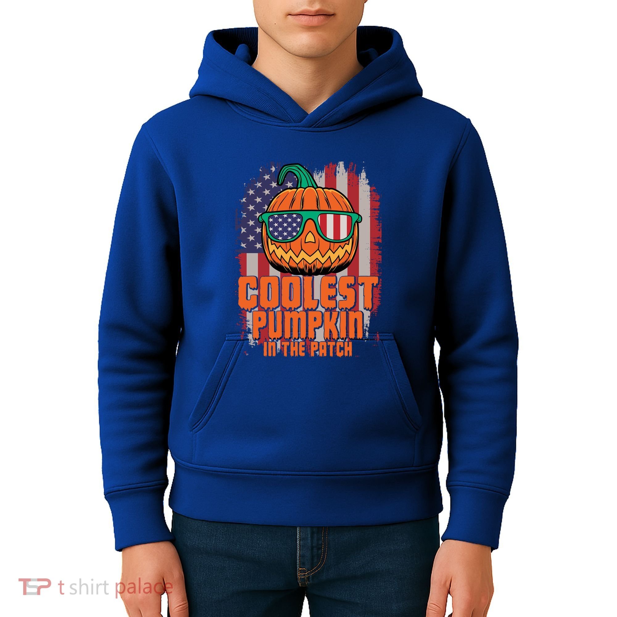 Halloween Costume Coolest Pumpkin In The Patch American Flag Gift Kids Hoodie