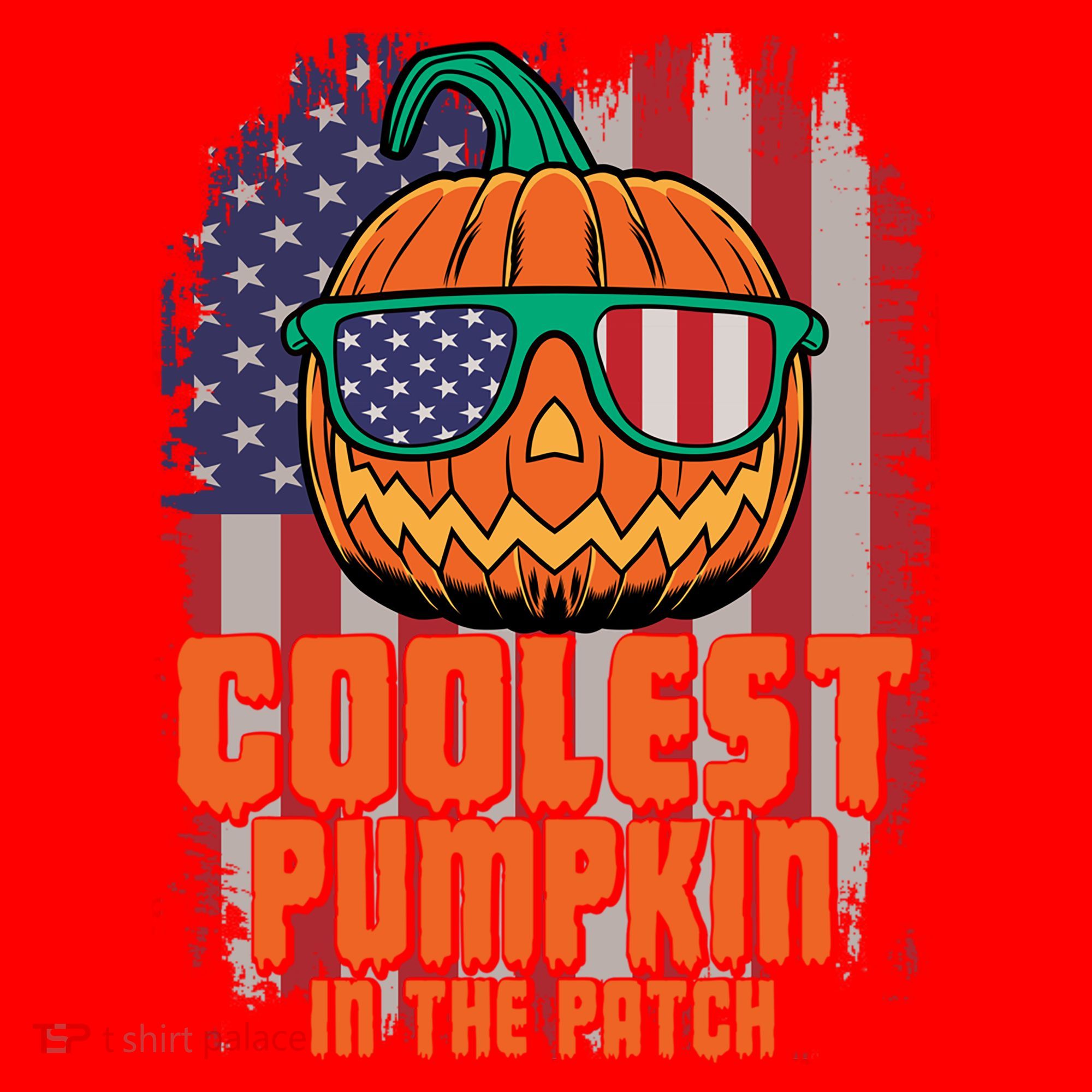 Halloween Costume Coolest Pumpkin In The Patch American Flag Gift Santa Hat