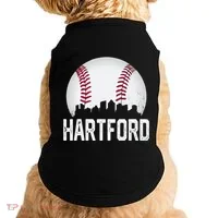 Hartford Connecticut Ct Doggie Tank thumb 0