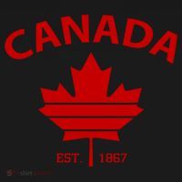 Happy Canada Day Funny Maple Leaf Canadian Flag Gift Pajama Set thumb 2