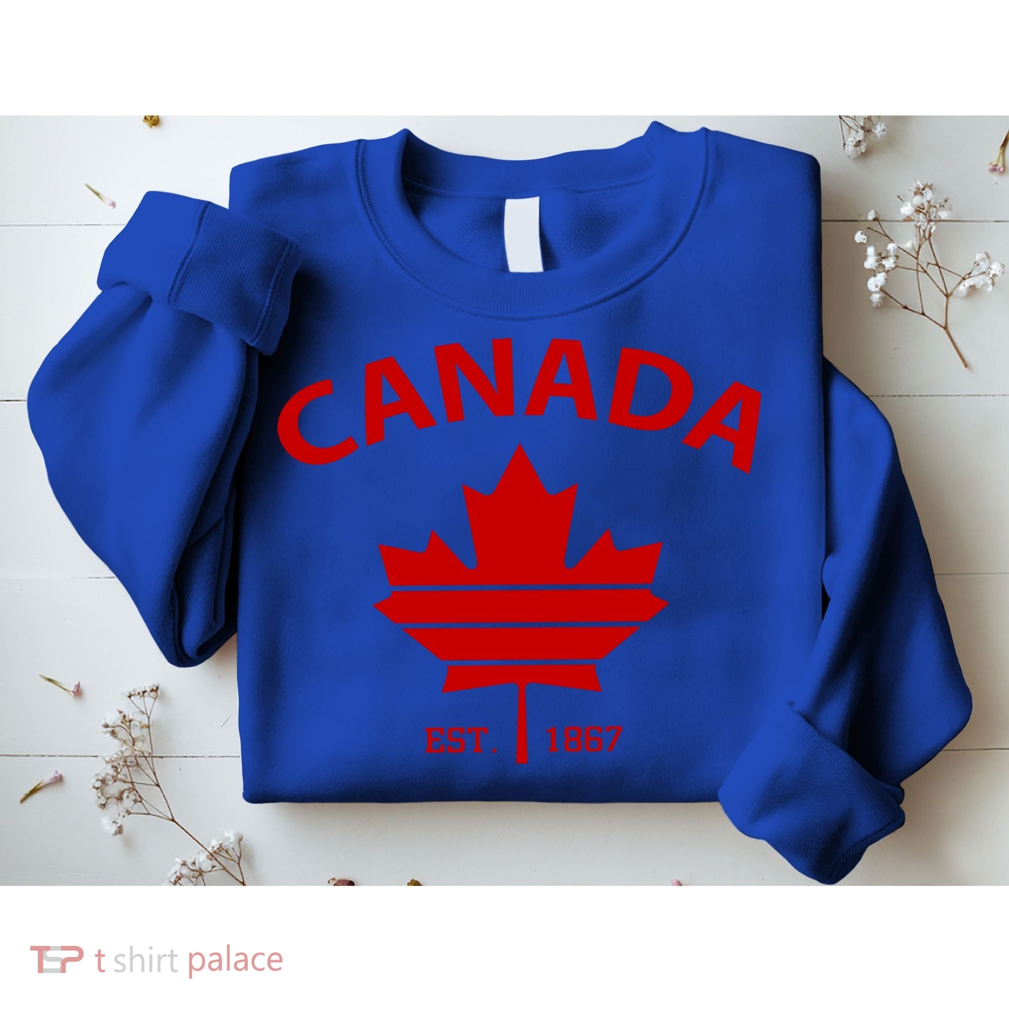 Happy Canada Day Funny Maple Leaf Canadian Flag Gift Sweatshirt