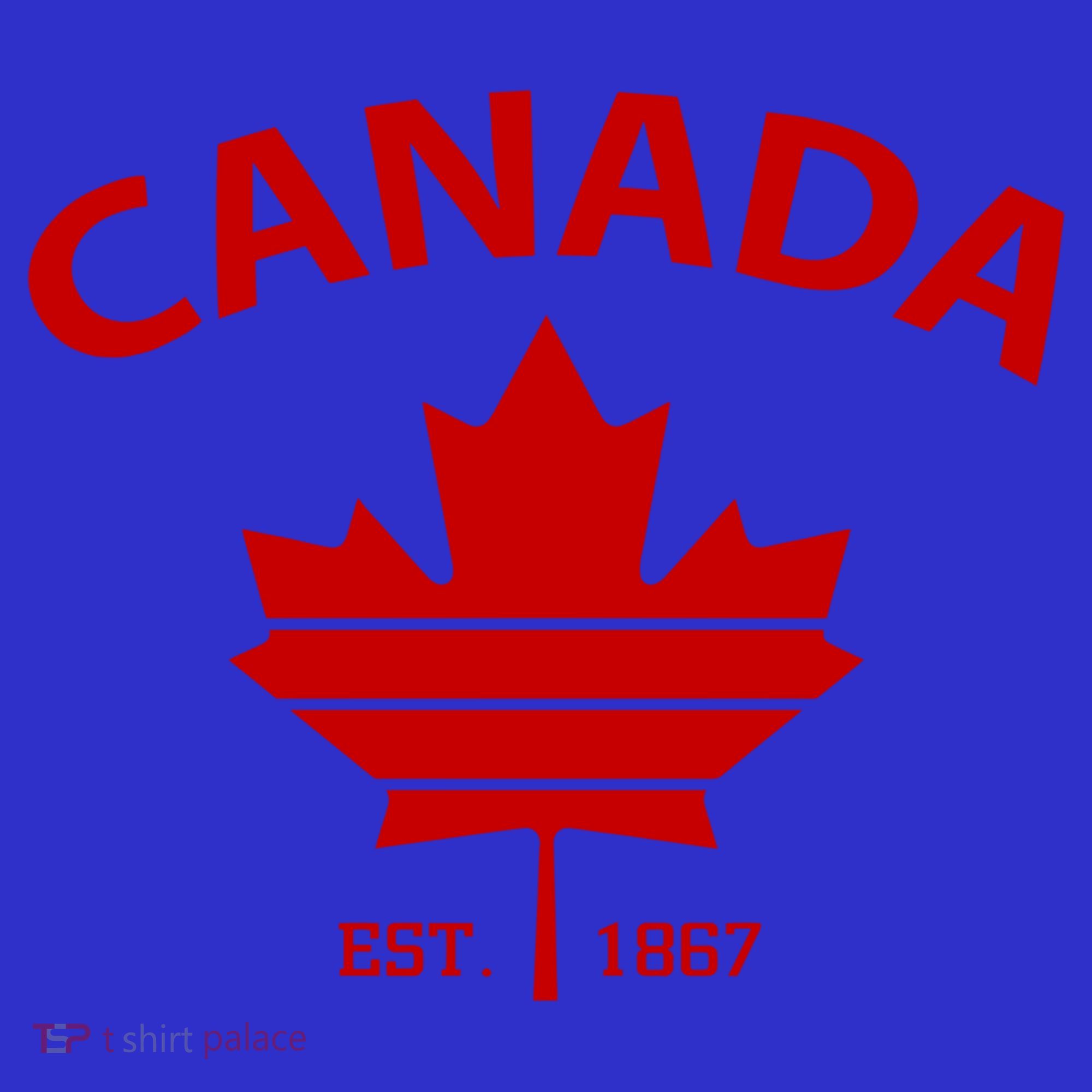 Happy Canada Day Funny Maple Leaf Canadian Flag Gift Kids Sweatshirt