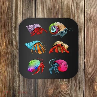 Coaster