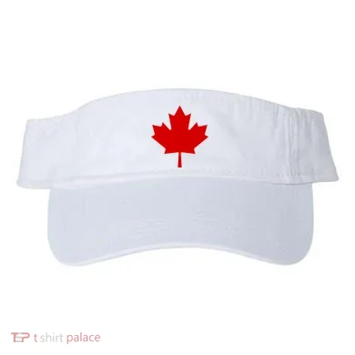 Visor