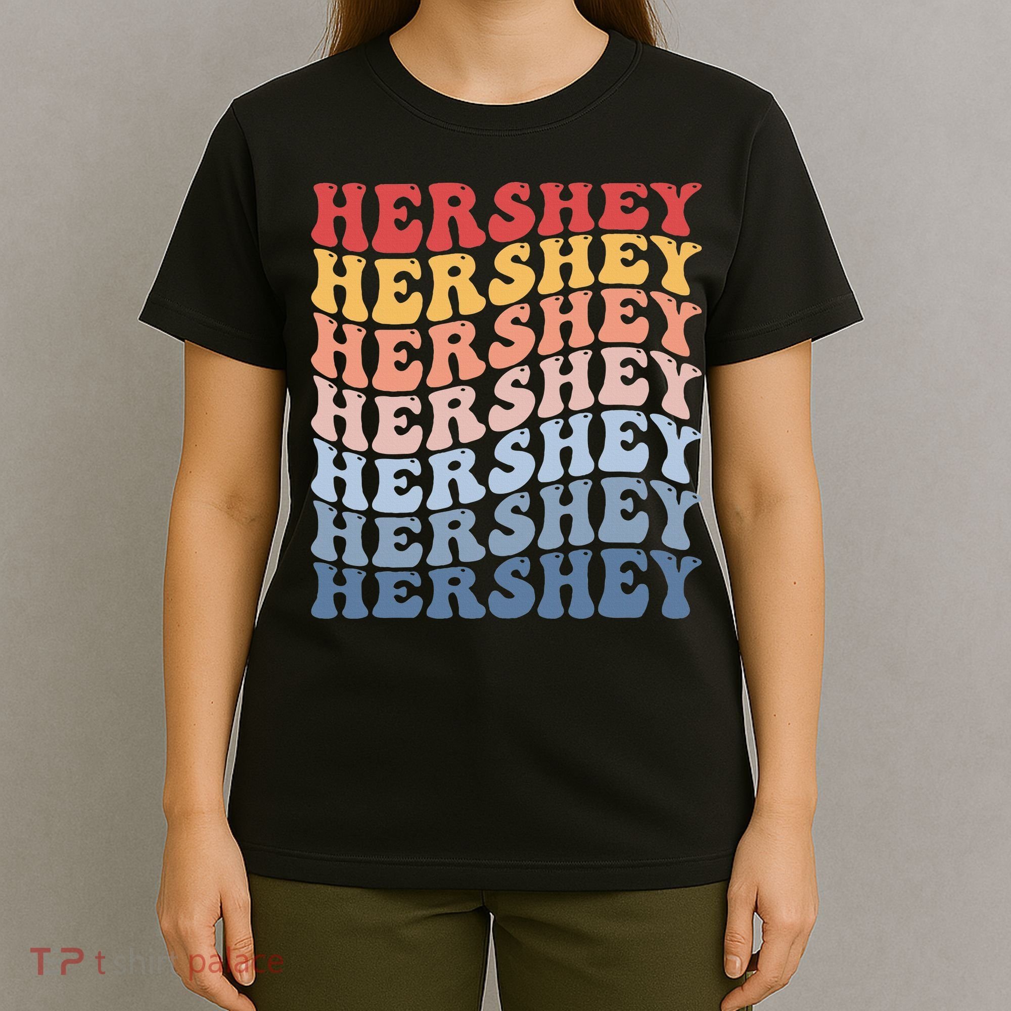 Hershey City Groovy Retro T-Shirt