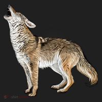 Howling Coyote Beanie thumb 2