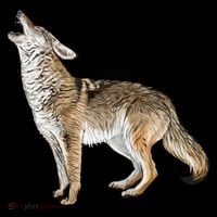 Howling Coyote Ornament thumb 1