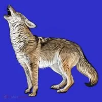 Howling Coyote Toddler Hoodie thumb 2