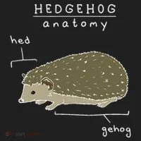 Hedgehog Cute Hedgehogs Women's Sweatshirt thumb 2