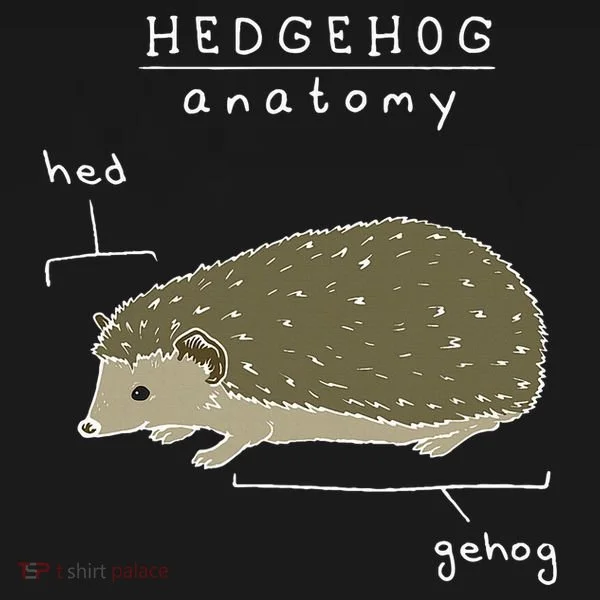 Hedgehog Cute Hedgehogs Bucket Hat