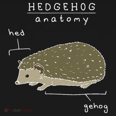 Hedgehog Cute Hedgehogs Women's Perfect Tri Rocker Tank