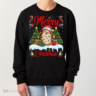 Hedgehog Christmas Hedgehog Xmas Tree Lighting Santa Hat Women's Sweatshirt