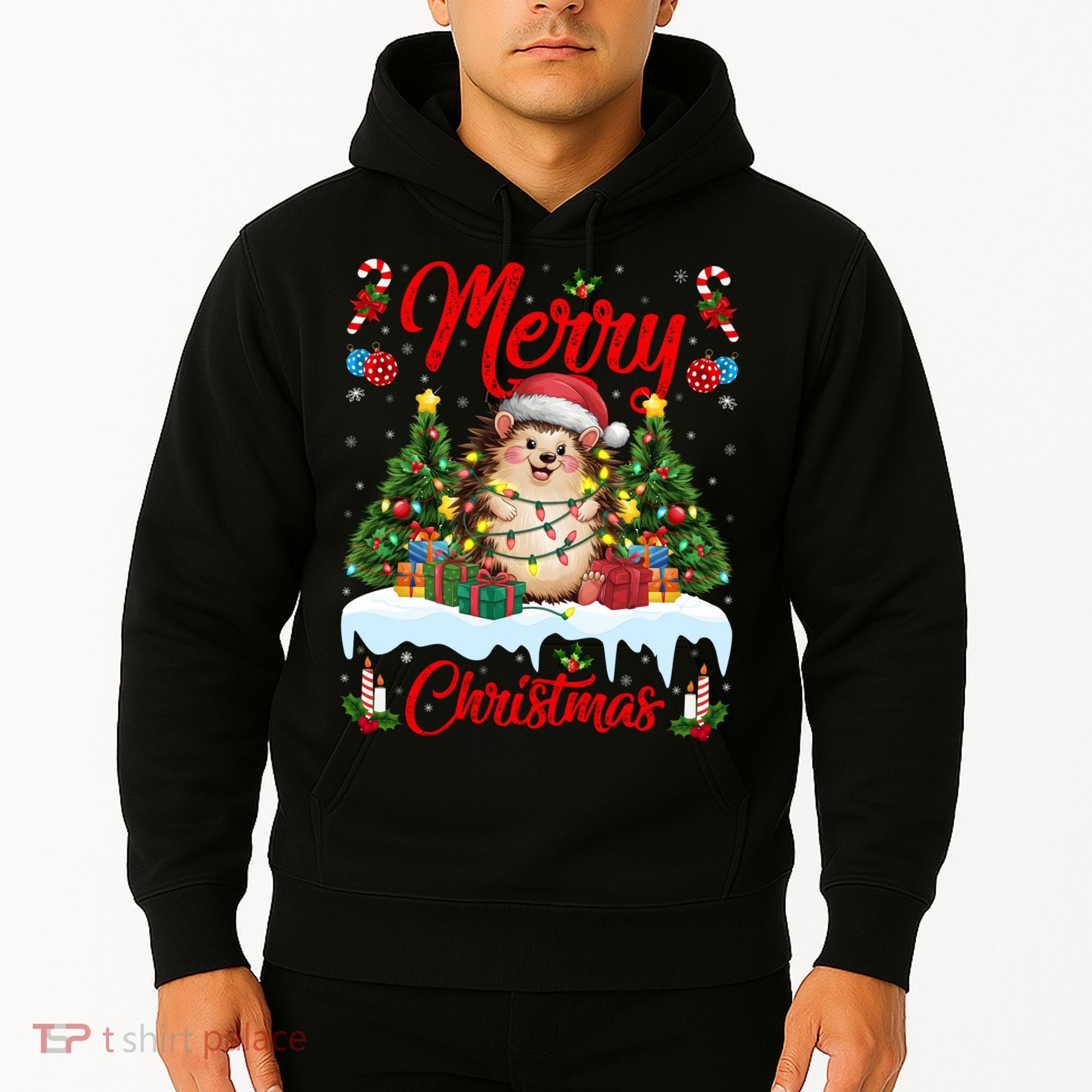 Hedgehog Christmas Hedgehog Xmas Tree Lighting Santa Hat Hoodie