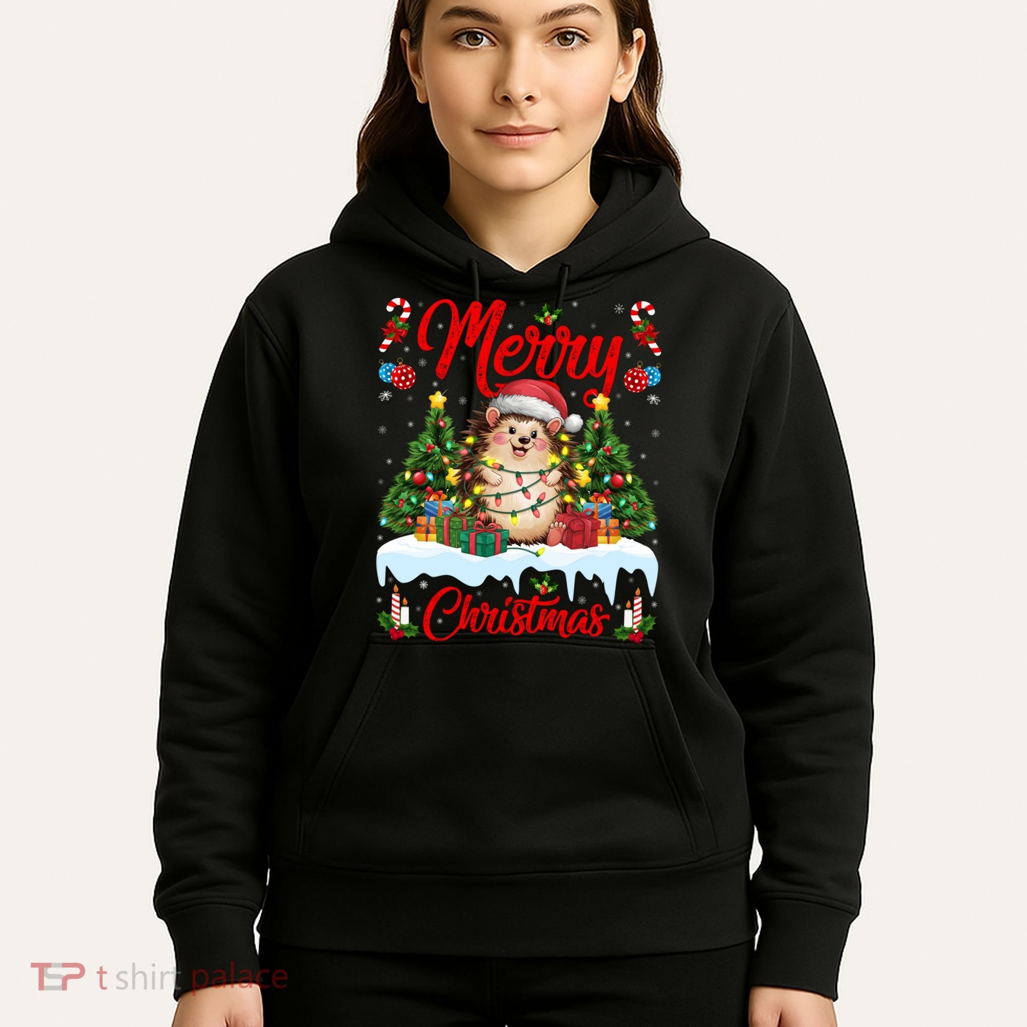Hedgehog Christmas Hedgehog Xmas Tree Lighting Santa Hat Hoodie