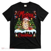 Hedgehog Christmas Hedgehog Xmas Tree Lighting Santa Hat T-Shirt thumb 0