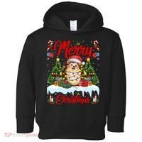 Hedgehog Christmas Hedgehog Xmas Tree Lighting Santa Hat Toddler Hoodie thumb 0