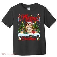 Hedgehog Christmas Hedgehog Xmas Tree Lighting Santa Hat Toddler T-Shirt thumb 0