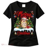 Hedgehog Christmas Hedgehog Xmas Tree Lighting Santa Hat Women's T-Shirt thumb 0