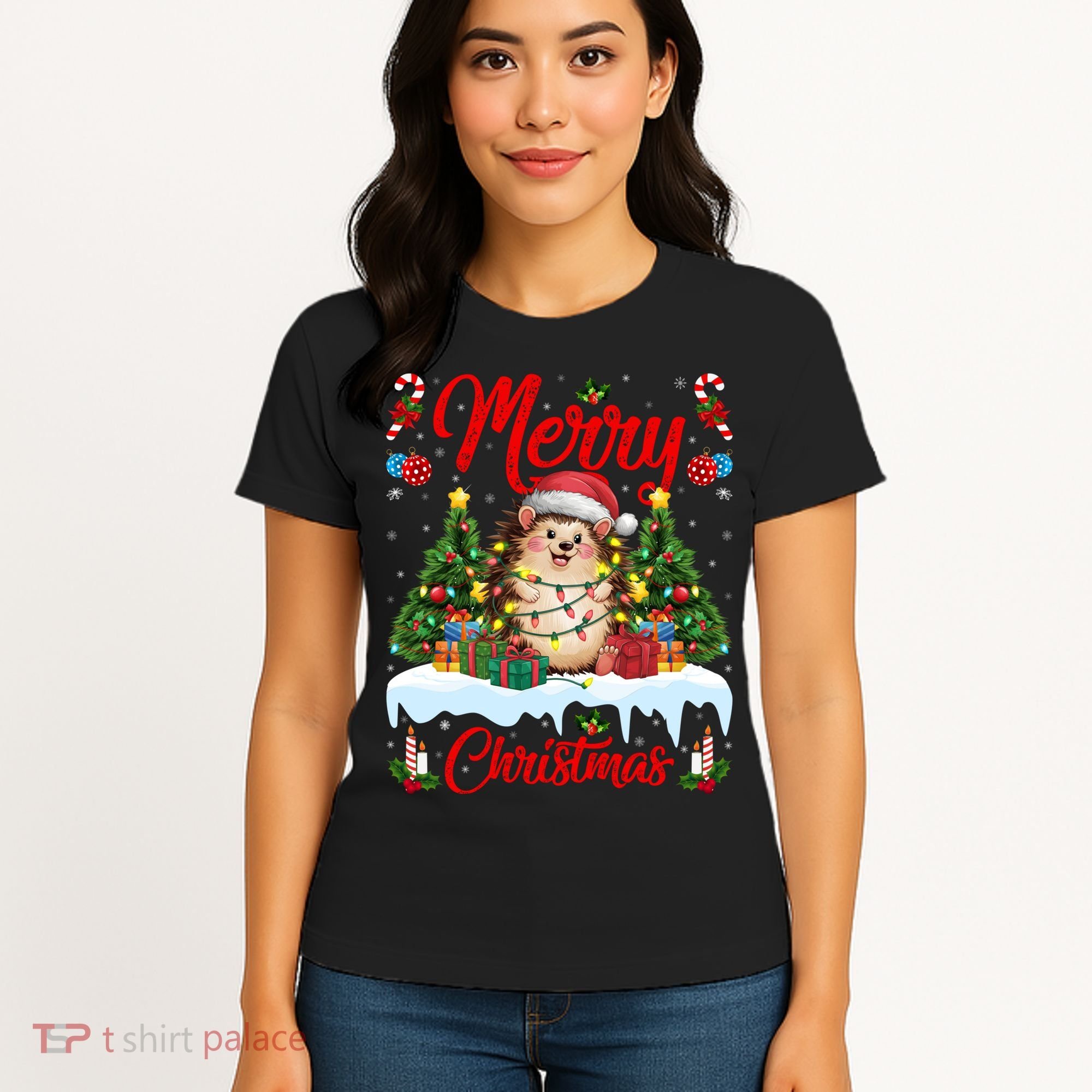 Hedgehog Christmas Hedgehog Xmas Tree Lighting Santa Hat Women's T-Shirt