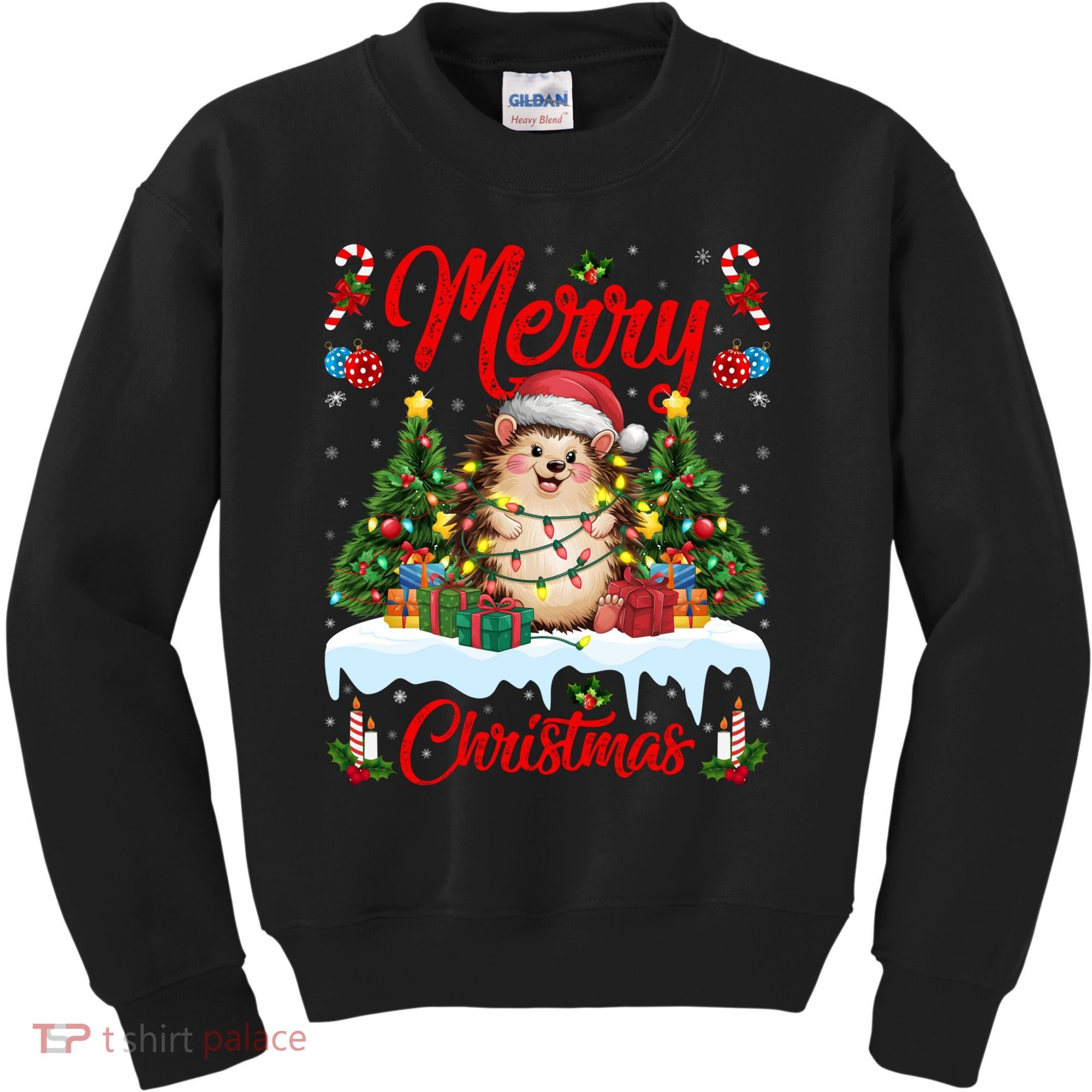 Hedgehog Christmas Hedgehog Xmas Tree Lighting Santa Hat Kids Sweatshirt