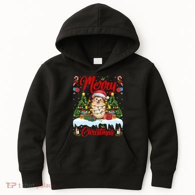 Hedgehog Christmas Hedgehog Xmas Tree Lighting Santa Hat Kids Hoodie