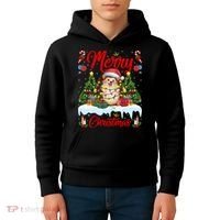 Hedgehog Christmas Hedgehog Xmas Tree Lighting Santa Hat Kids Hoodie thumb 4