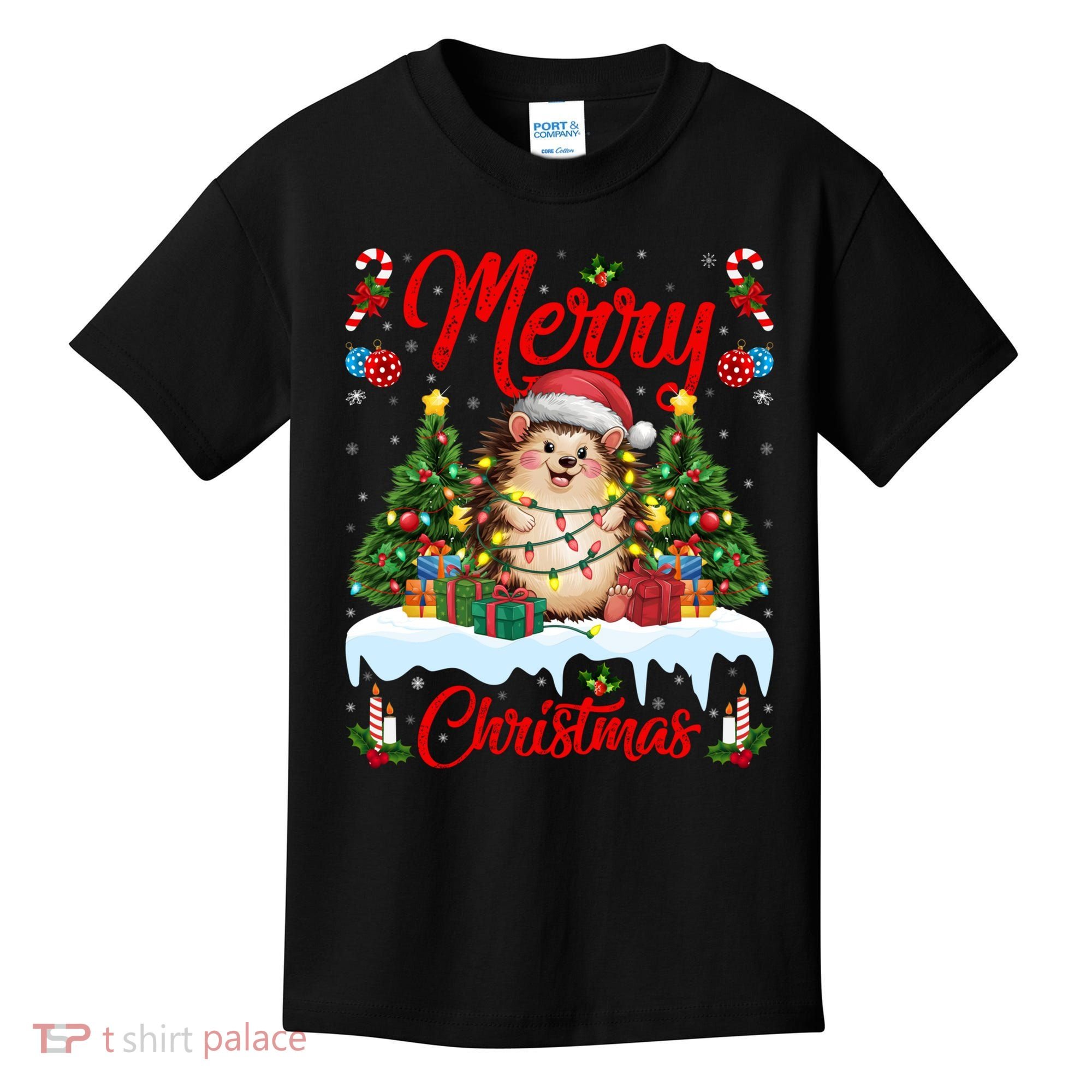Hedgehog Christmas Hedgehog Xmas Tree Lighting Santa Hat Kids T-Shirt