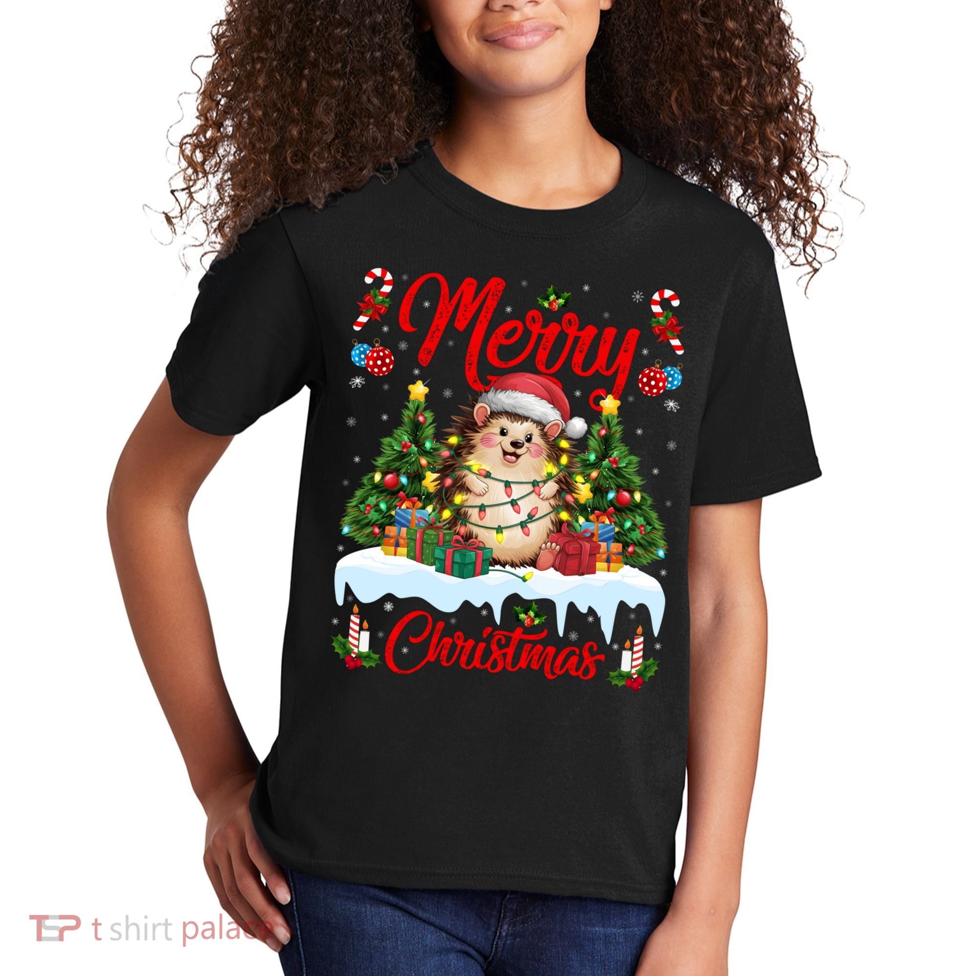 Hedgehog Christmas Hedgehog Xmas Tree Lighting Santa Hat Kids T-Shirt