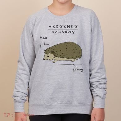 Hedgehog cute Hedgehogs Women's Sweatshirt