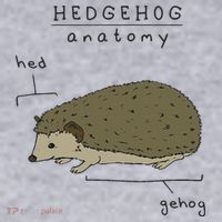 Hedgehog cute Hedgehogs Women's Sweatshirt thumb 2