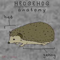 Hedgehog cute Hedgehogs Toddler Hoodie thumb 2