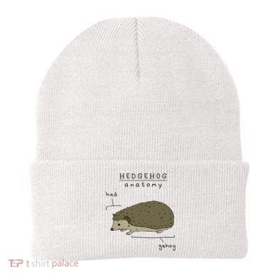 Hedgehog cute Hedgehogs Beanie