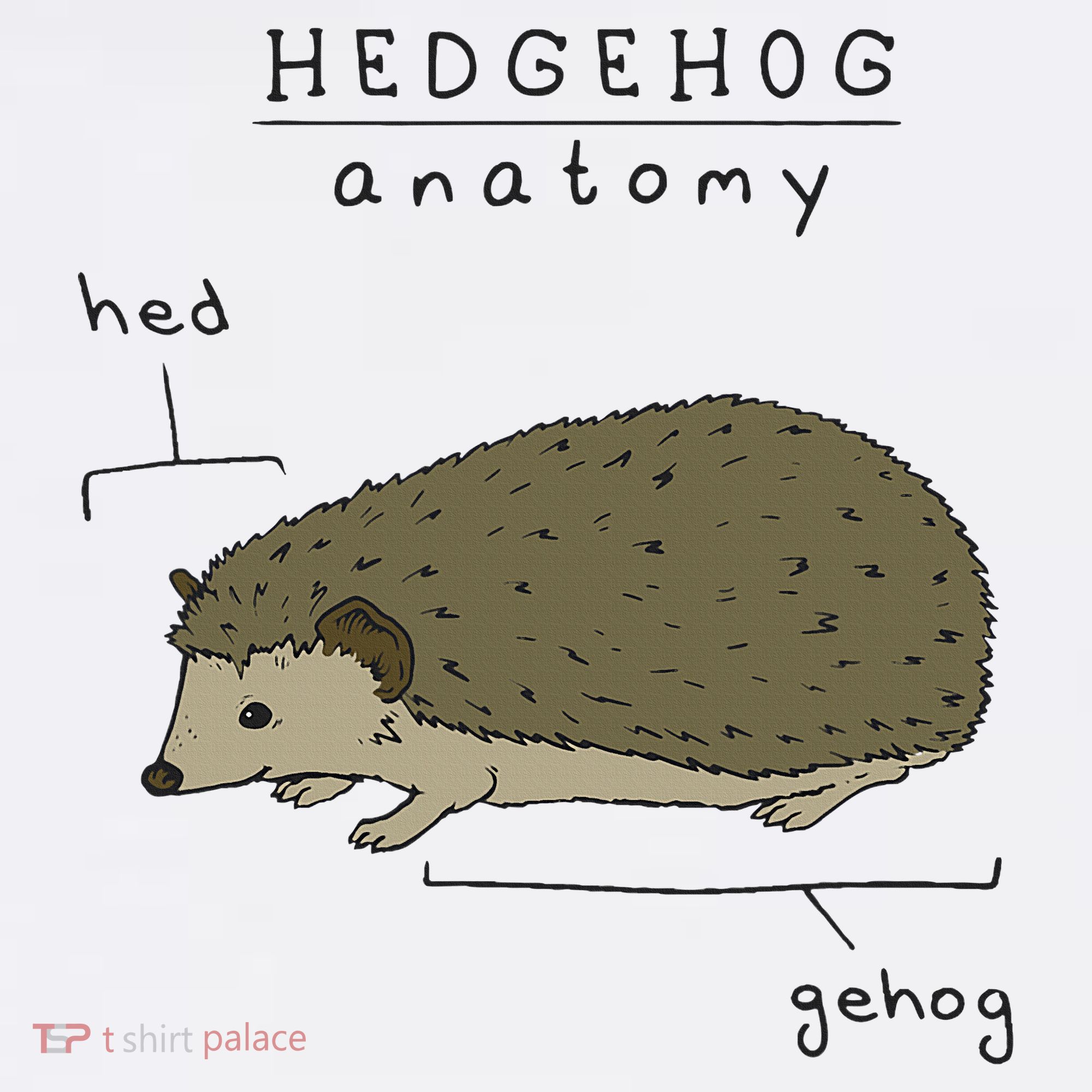 Hedgehog cute Hedgehogs Visor