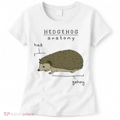 Hedgehog cute Hedgehogs Women's T-Shirt