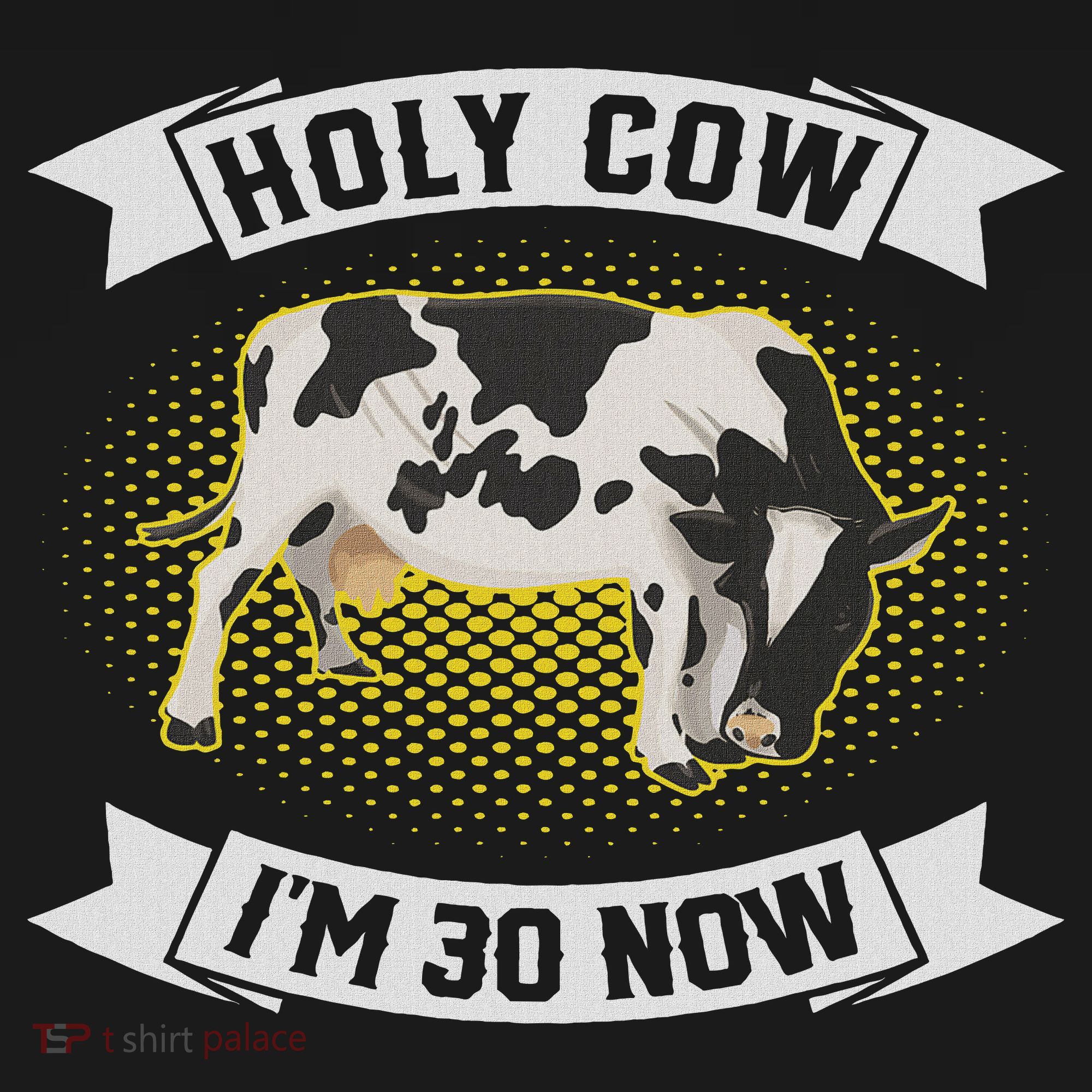 Holy Cow I'm 30 Now Funny 30th Birthday Sarcastic Sayings Sweatshirt