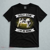 Holy Cow I'm 30 Now Funny 30th Birthday Sarcastic Sayings T-Shirt thumb 5