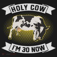 Holy Cow I'm 30 Now Funny 30th Birthday Sarcastic Sayings Tall Long Sleeve Shirt thumb 2