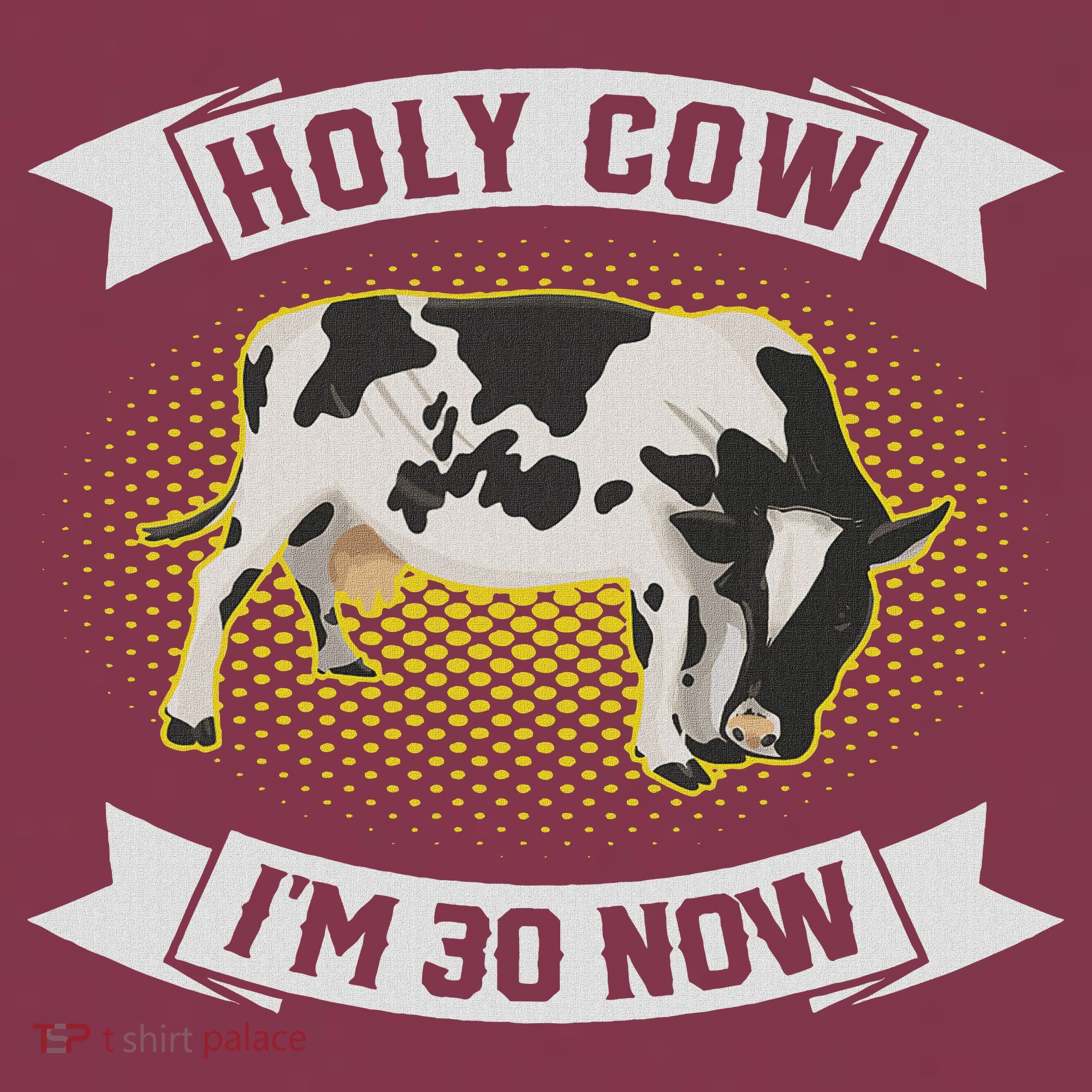 Holy Cow I'm 30 Now Funny 30th Birthday Sarcastic Sayings 16oz Travel Tumbler