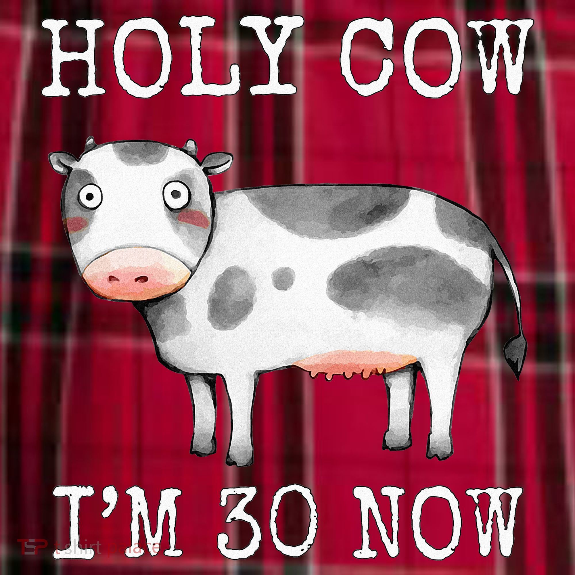 Holy Cow I'm 30 Now Funny 30th Birthday Thirty Year Sarcasm Women's Flannel Plaid Pajama Pants