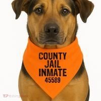 Halloween County Jail Inmate Costume USA-Made Doggie Bandana thumb 1